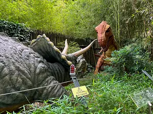 Photo of Dinosaur Adventure