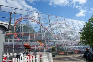 Photo of Cobra