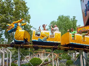 Photo of Gliding Dragon