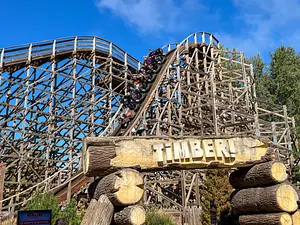 Photo of Timber