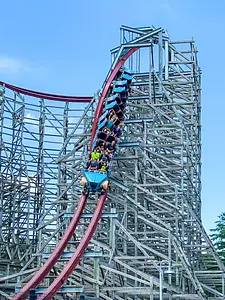 Photo of Twisted Timbers