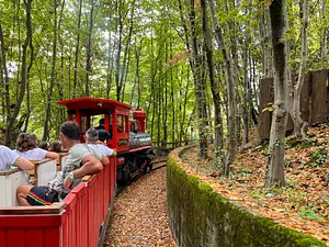 Photo of Transgardaland Express