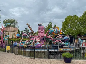 Photo of Fliegenden Fische