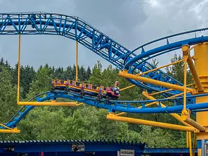 Photo of Wild Train