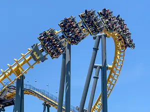 Photo of Batwing