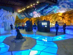 Photo of Polar Adventure