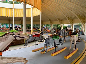 Photo of Cedar Downs