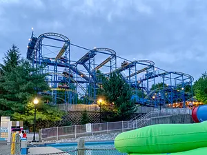 Photo of Wild Mouse