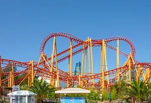 Photo of Kong
