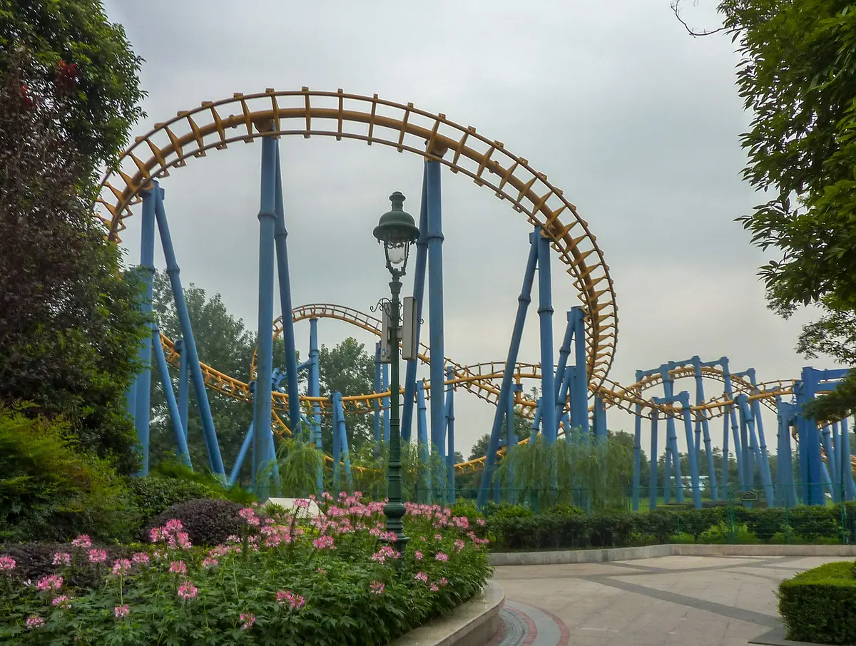 Photo of Dragon Rider