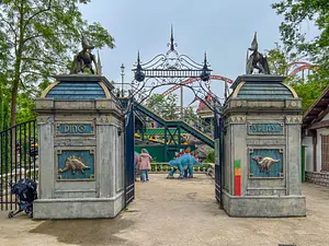 Photo of Dino Splash