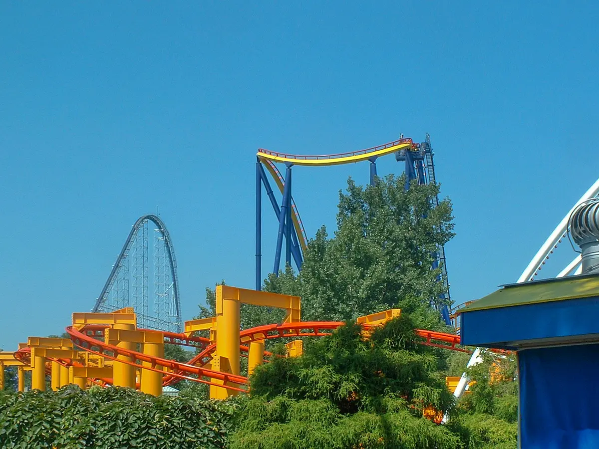 Photo of Mantis
