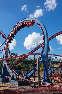 Photo of Scorpion