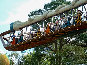 Photo of Bone Shaker