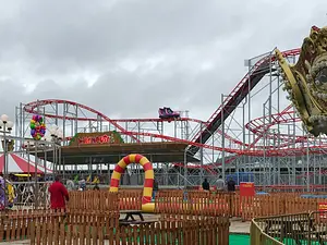 Photo of Wild Mouse