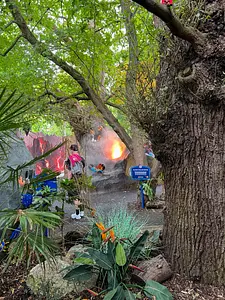 Photo of The Magical Forest