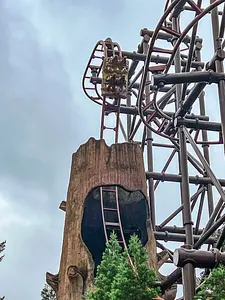 Photo of Timber Drop