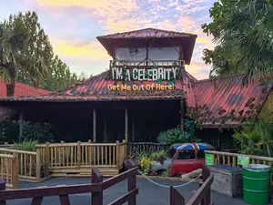 Photo of I'm a Celebrity: Get me out of here! Maze