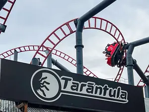 Photo of Tarántula