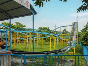 Photo of Jungle Mouse