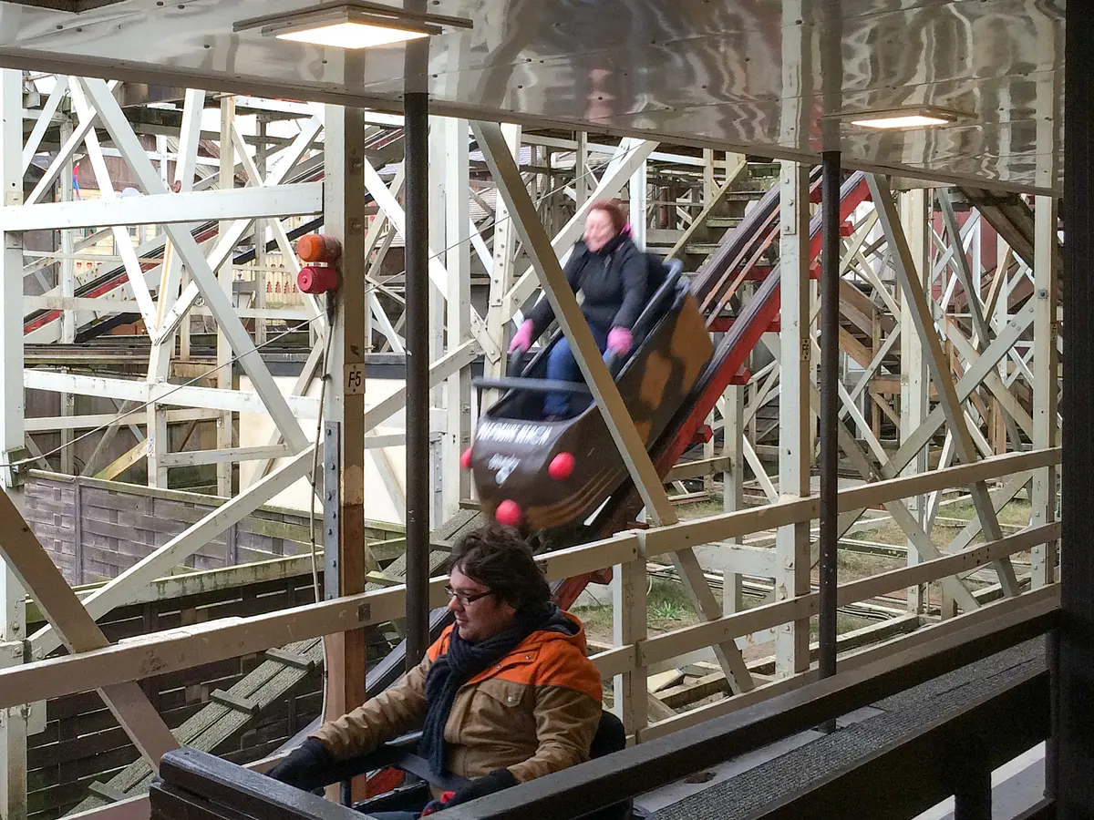 Photo of Wild Mouse