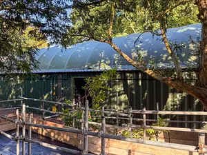Photo of Edge of the Forest