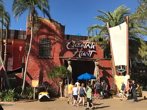 Photo of Cheetah Hunt