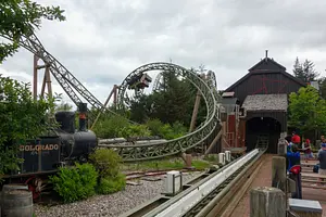 Photo of Lynet