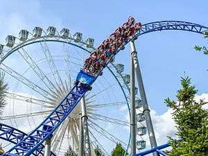 Photo of Alpina Blitz