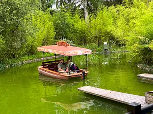 Photo of Africa Cruise