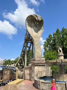 Photo of Kobra