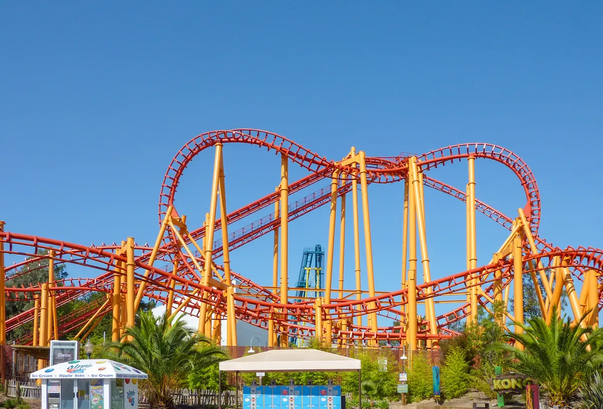 Photo of Kong