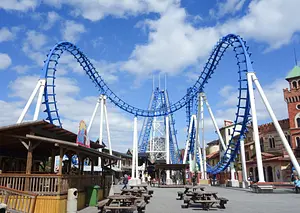 Photo of Cobra