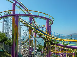 Photo of Dragon