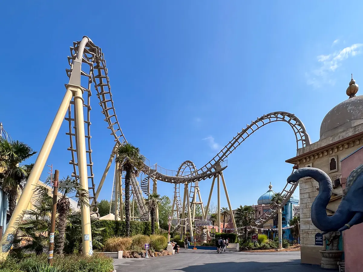 Photo of Cobra
