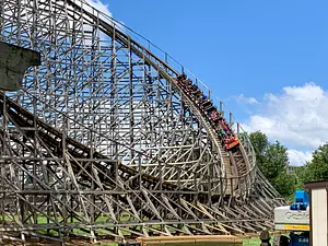Photo of Wildcat