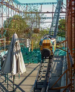Photo of Tree Top Racers