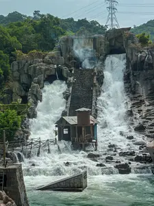 Photo of Roaming Flood