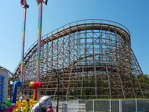 Photo of Grizzly