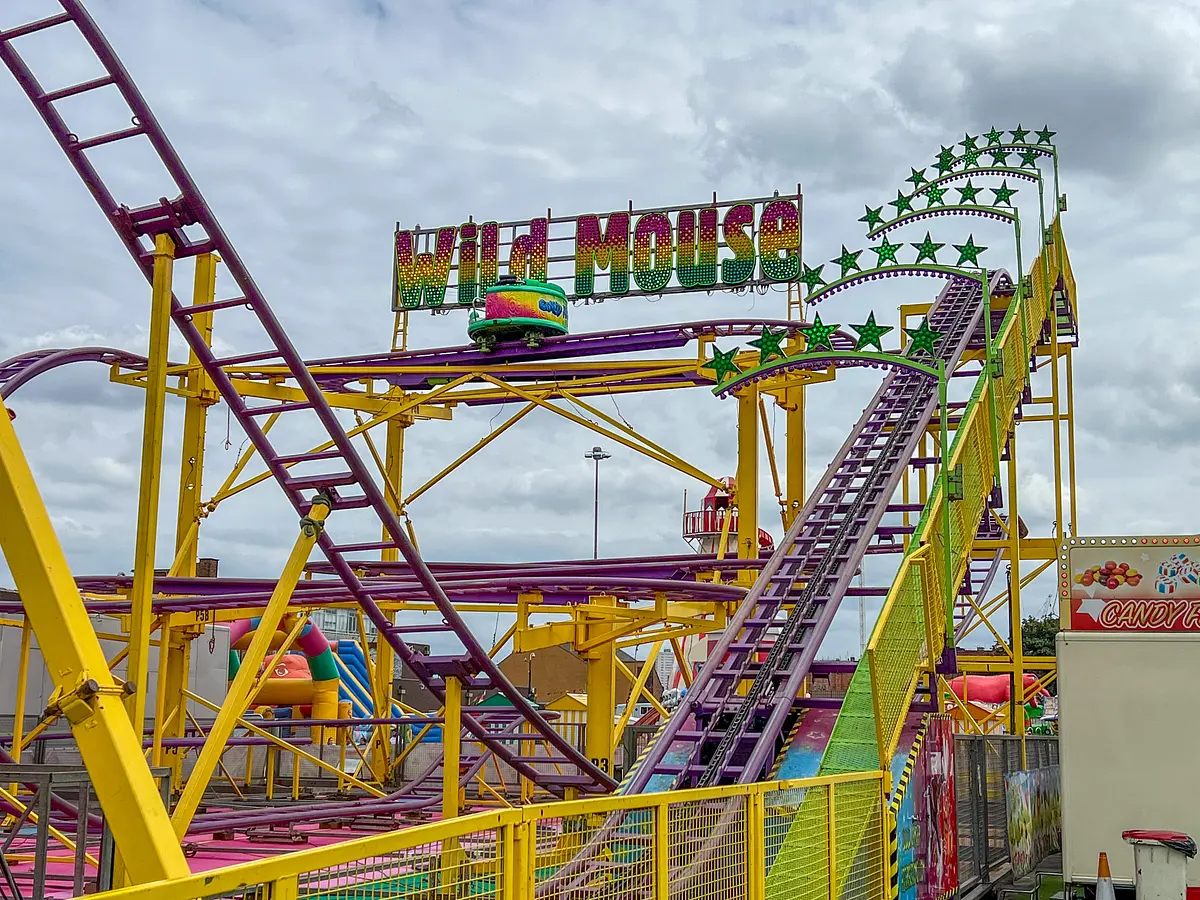 Photo of Wild Mouse