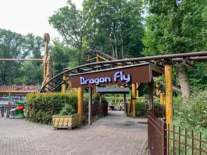 Photo of Dragon Fly