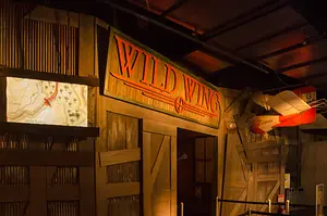 Photo of Wild Wing