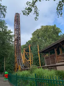 Photo of Falcon