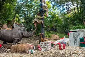 Photo of Jungle Cruise