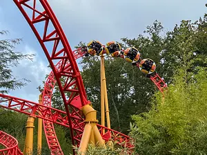 Photo of Twist