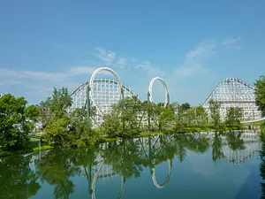 Photo of Dragon