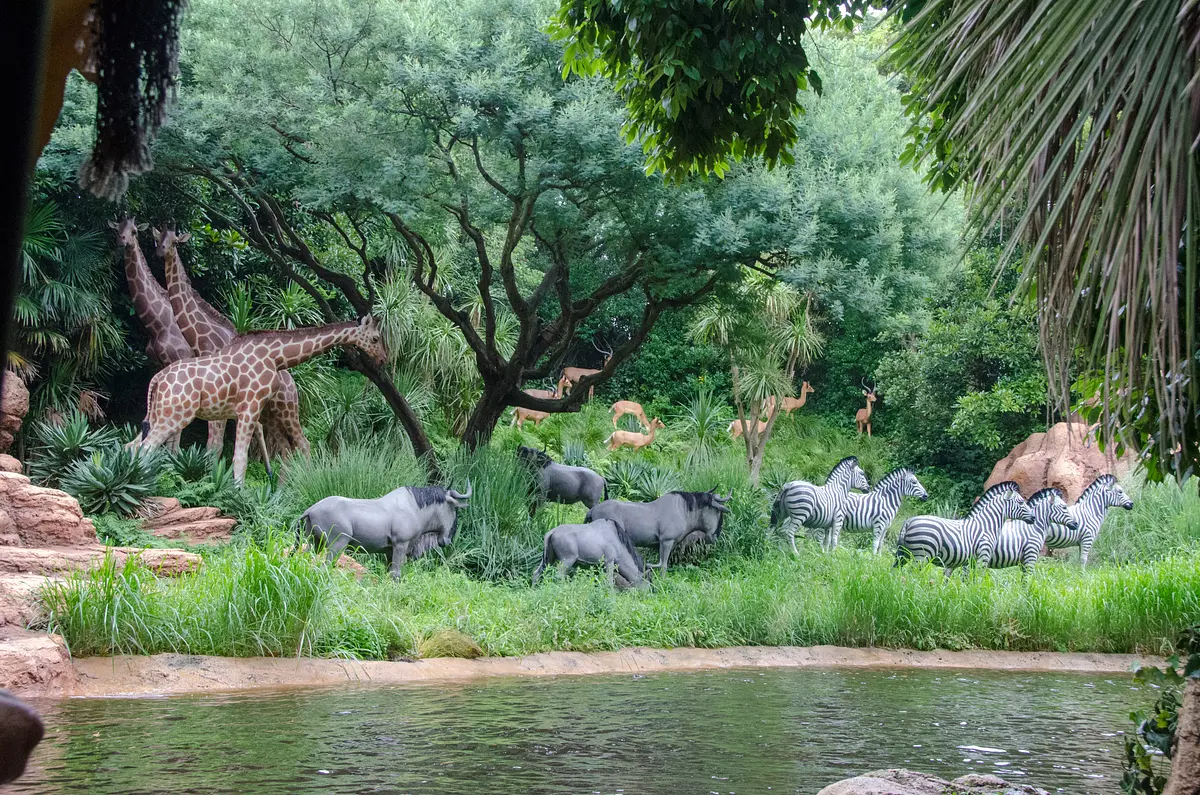 Photo of Jungle Cruise