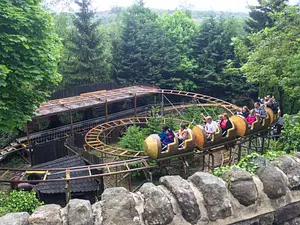 Photo of Log Coaster