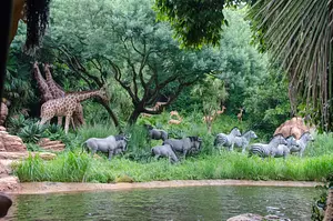 Photo of Jungle Cruise
