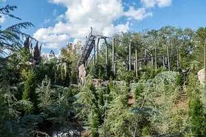Photo of Flight of the Hippogriff